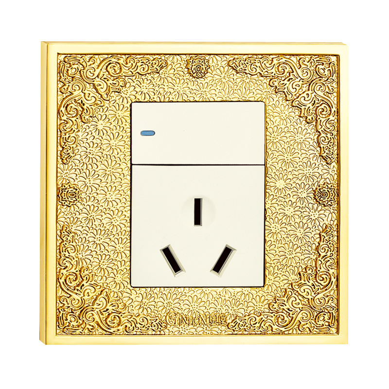 Switch socket panel